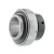 LY 207 2T LY 207 2T